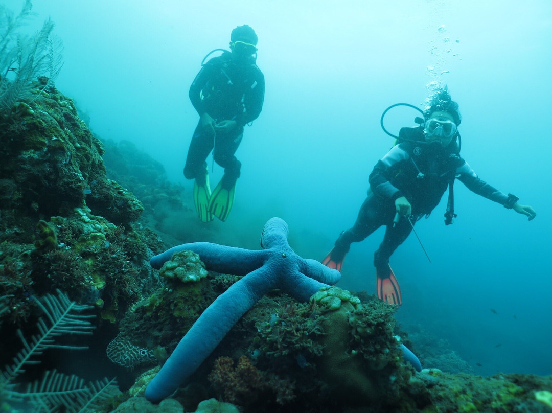 Bali Scuba Course-图兰本必去景点