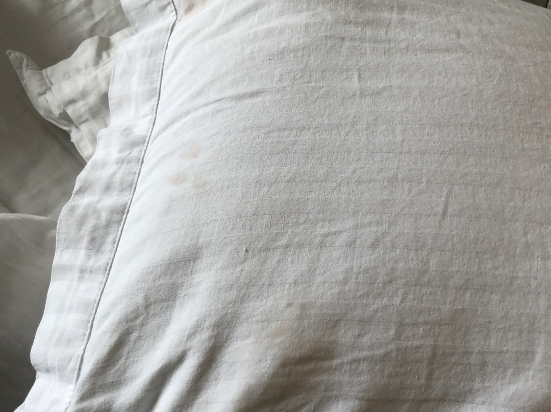 Millennium Inn主图