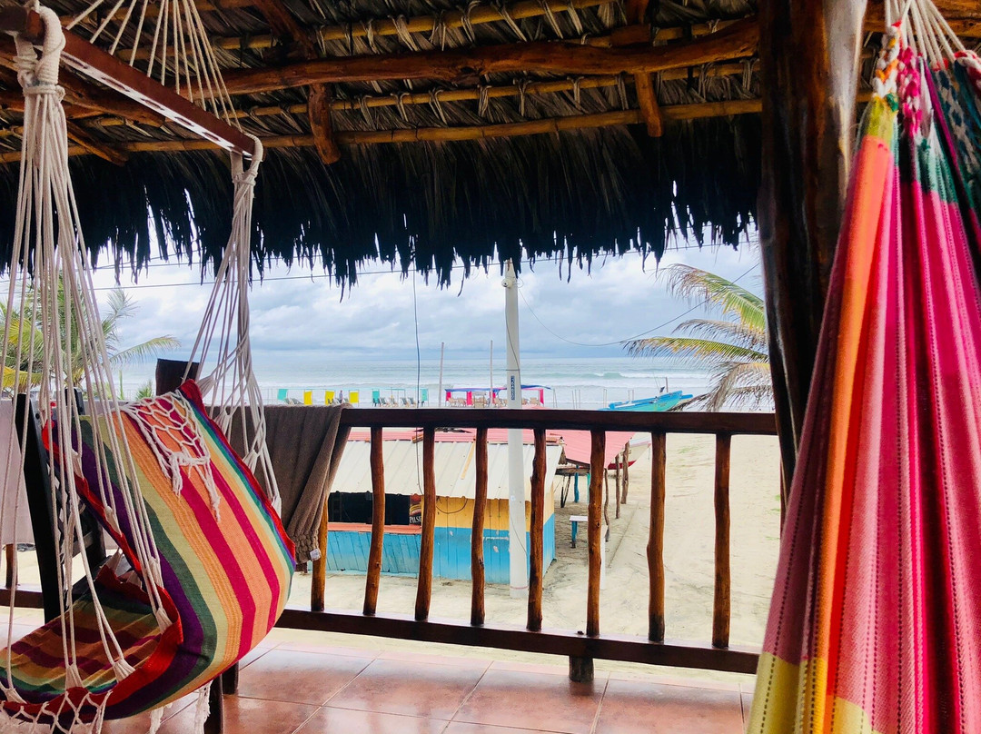 Cocoa Inn Hostal主图