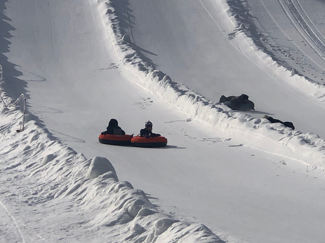 Mt. Holiday Ski Resort景点图片