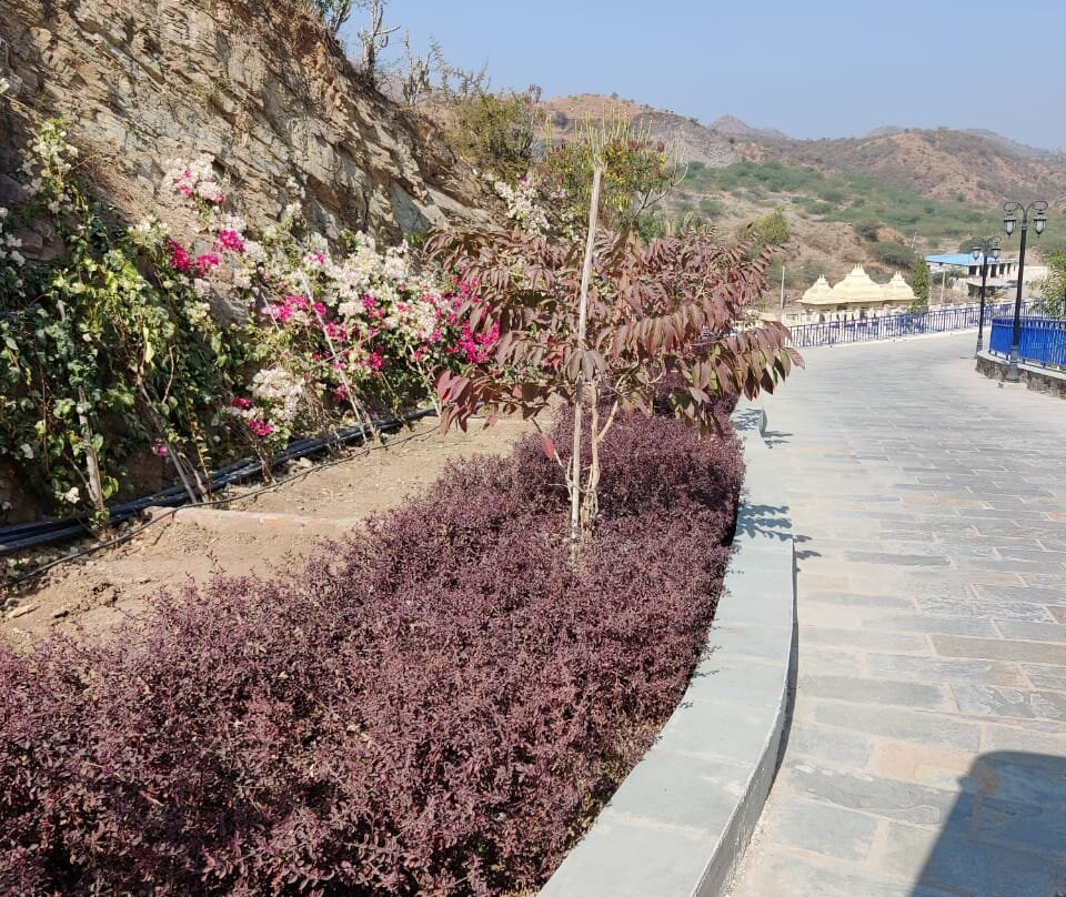 Ramee Royal Resort & Spa, Udaipur主图