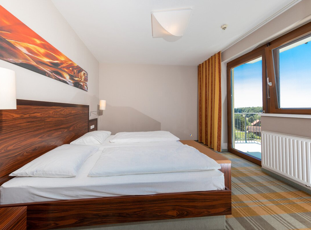 Hotel Liebmann主图