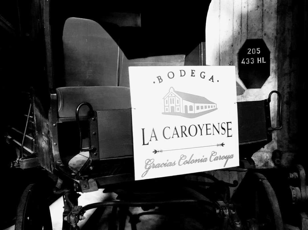 Bodega la Caroyense景点图片