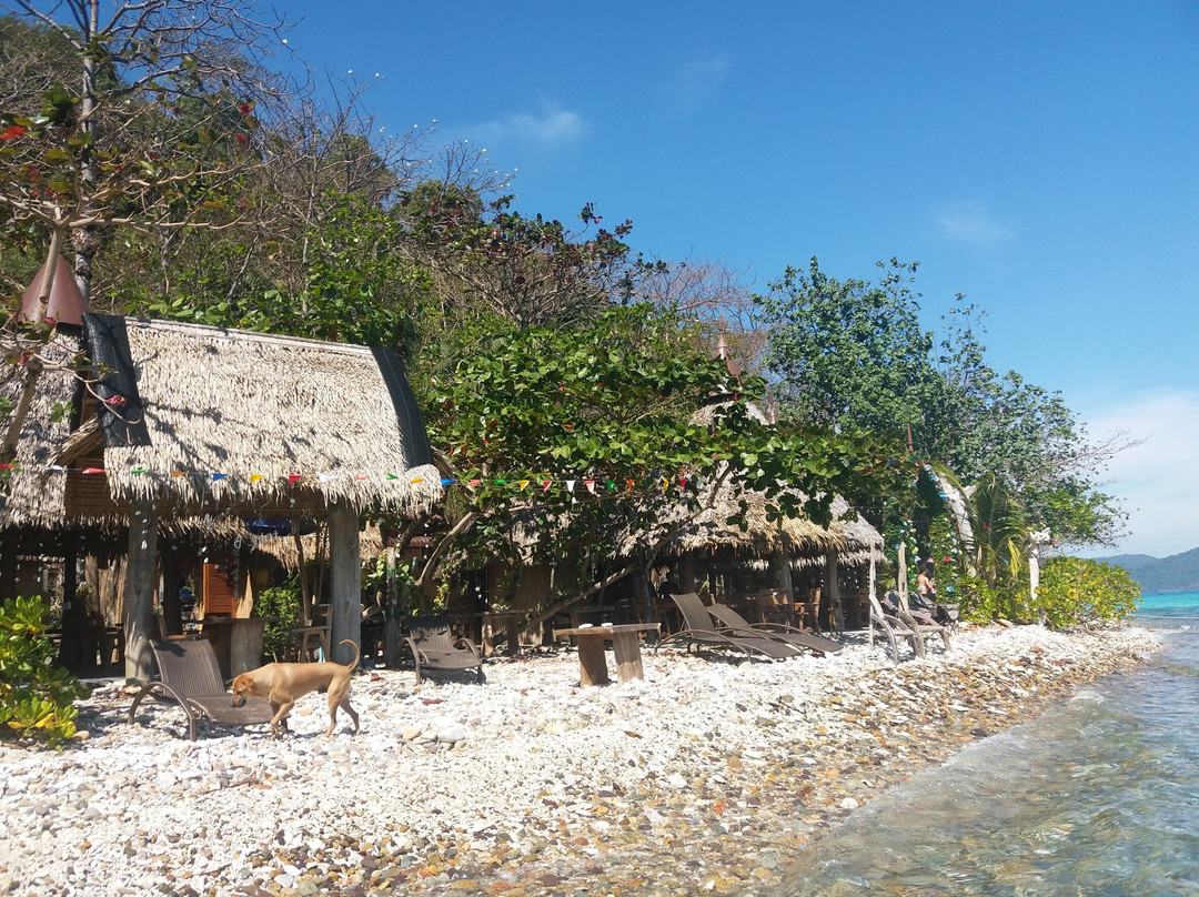 Koom Nangphaya Resort主图