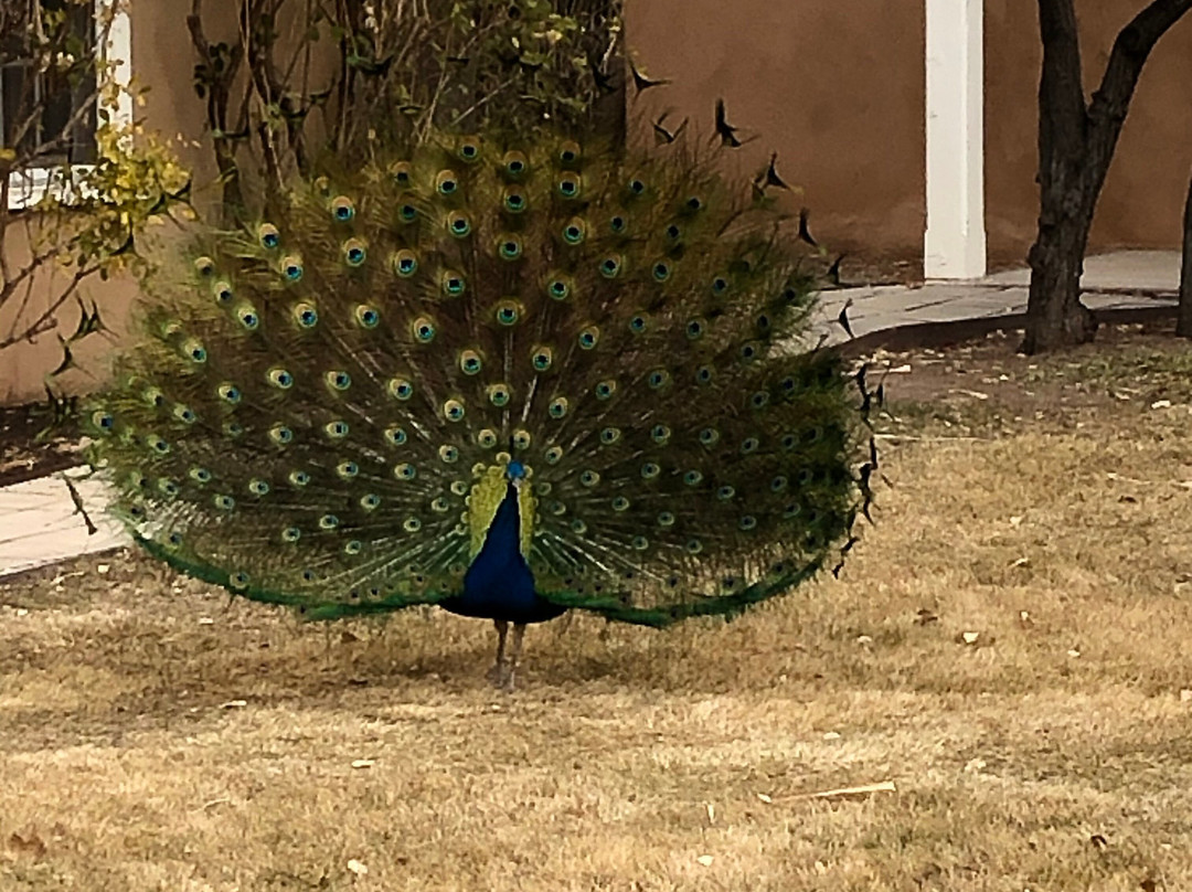 Los Poblanos Historic Inn & Organic Farm主图