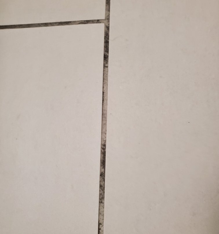 Holiday Inn St Louis Sw - Route 66 By IHG主图