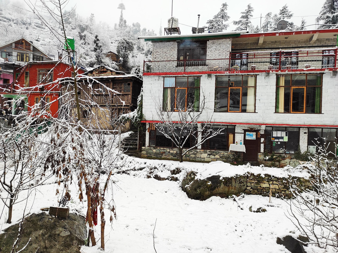 Jibhi Homestead主图