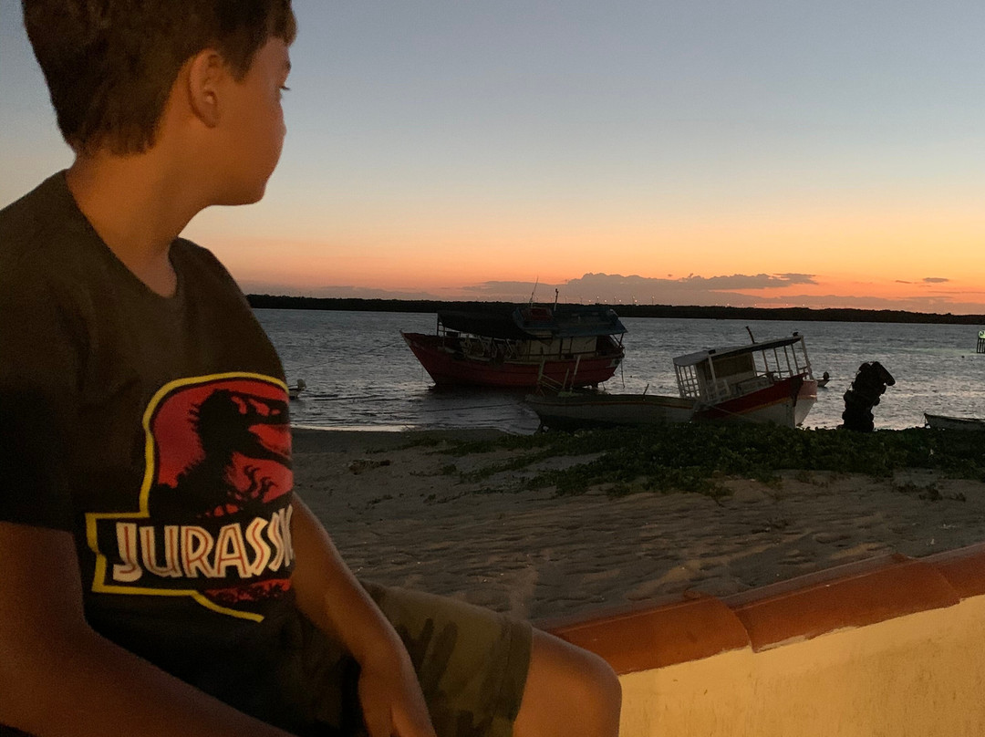 Pousada Rio Aratua主图