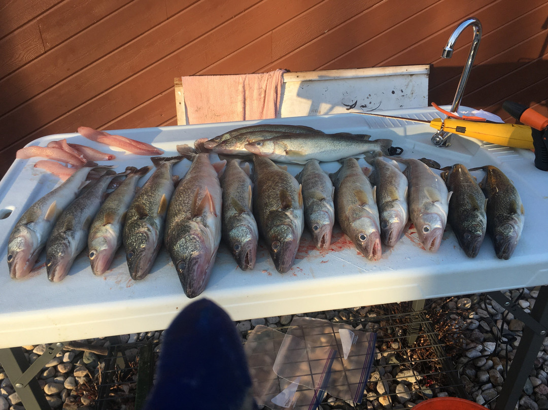 Whopper Stopper Musky Charters-Saint Clair Shores必去景点