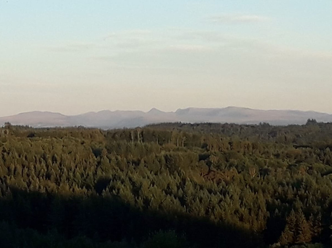 Darnets酒店住宿-La Canopée 19