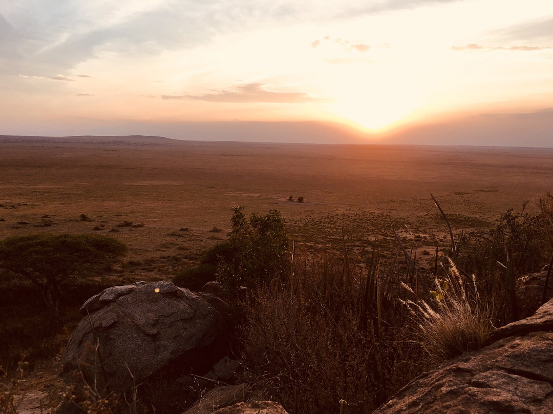 Redunca Safaris-阿鲁沙必去景点