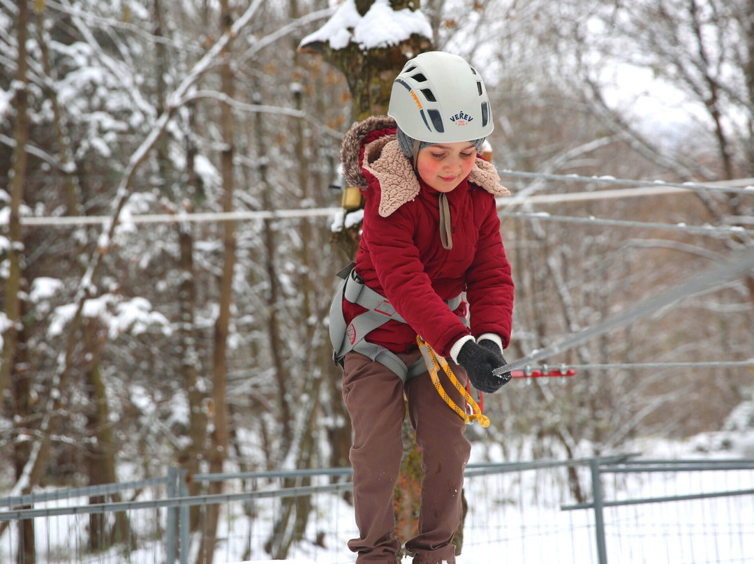 Verev Rope Park-Dilijan必去景点