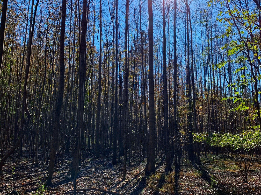 Stevens Creek Nature Center And Nature Preserve景点图片