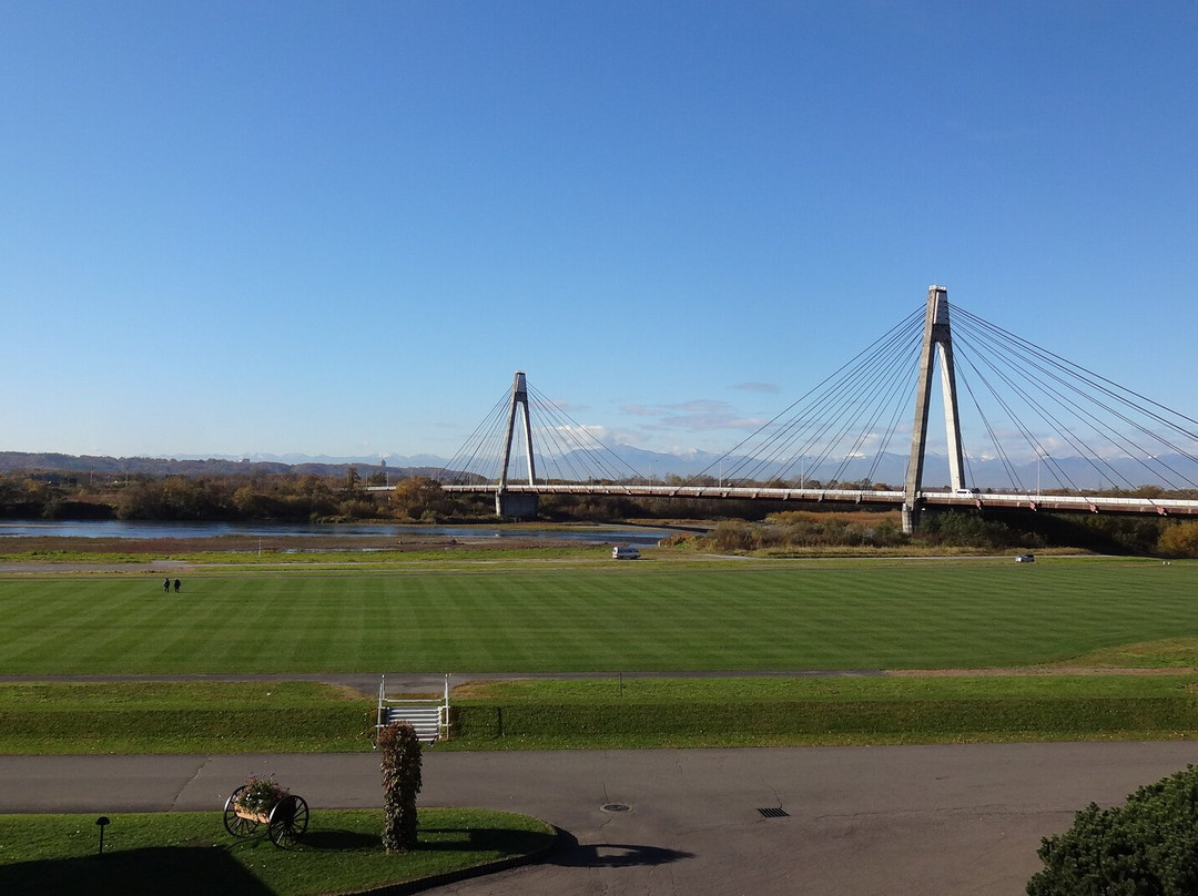 十胜川温泉第一酒店主图