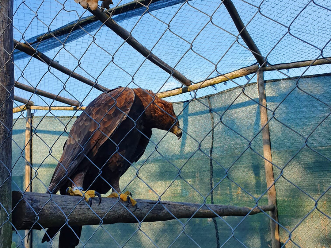 Parco Natura e Fattoria Didattica Voloalto-罗马必去景点