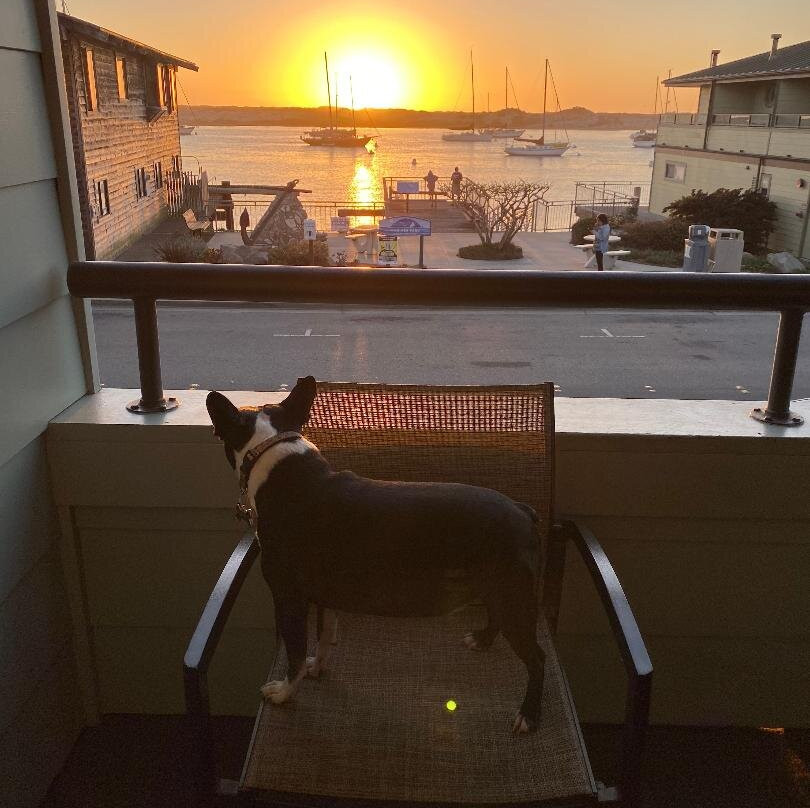 内河码头456号套房宾馆主图