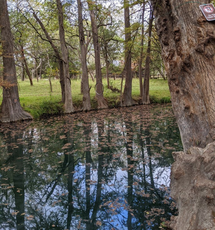 Blue Hole Regional Park-Wimberley必去景点