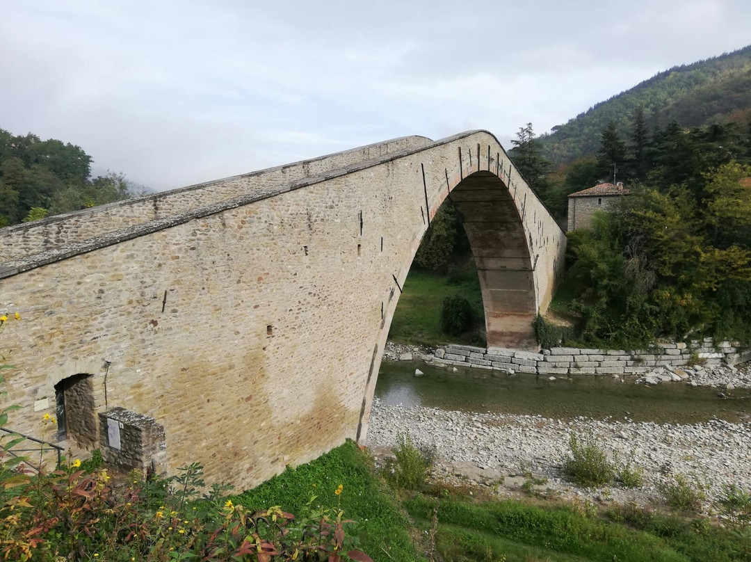 Ponte Alidosi (ponte rinascimentale a Schiena d'Asino)景点图片