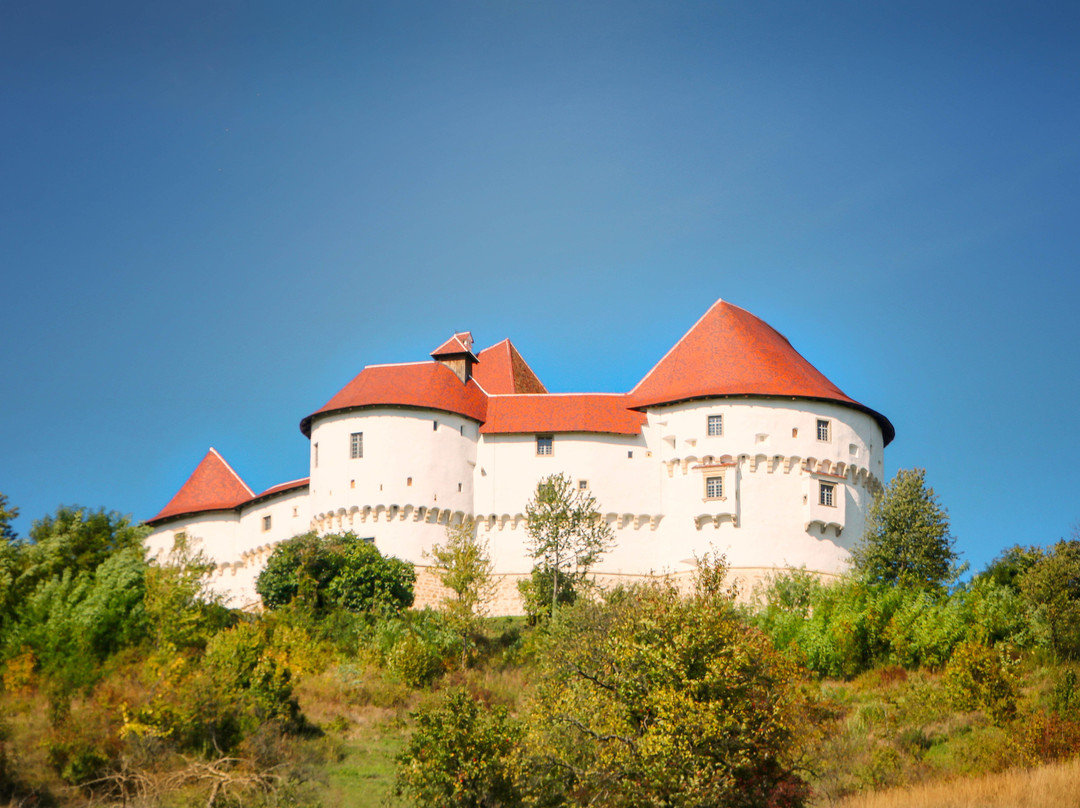 Dvor Veliki Tabor景点图片