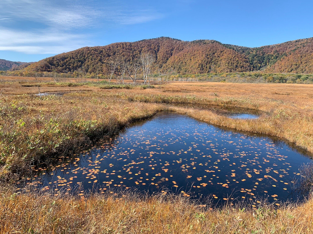 Oze National Park景点图片