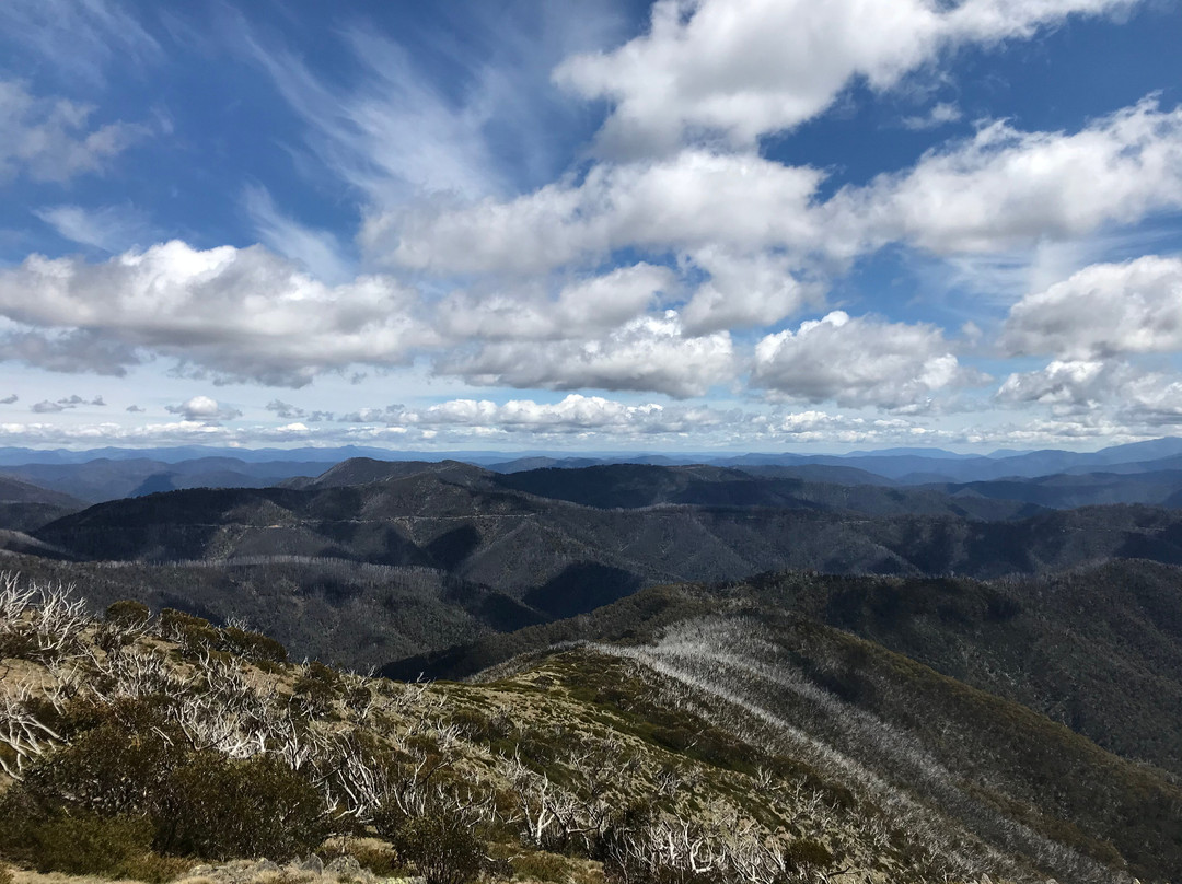 Danny's Lookout-Hotham Heights必去景点