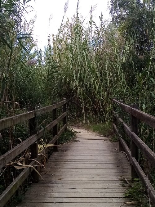 Delta del Llobregat-埃尔普拉特德略夫雷加特必去景点
