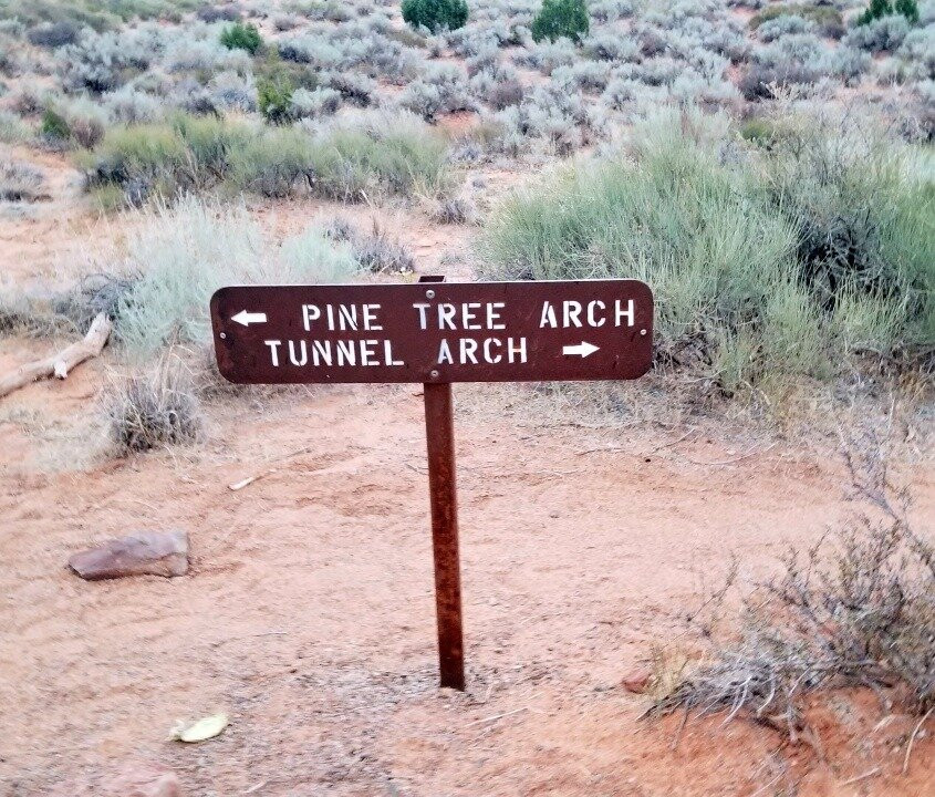 Pine Tree Arch-拱门国家公园必去景点