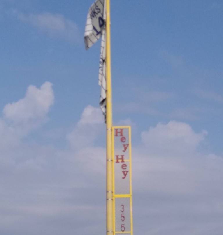 Little Cubs Field-弗里波特必去景点