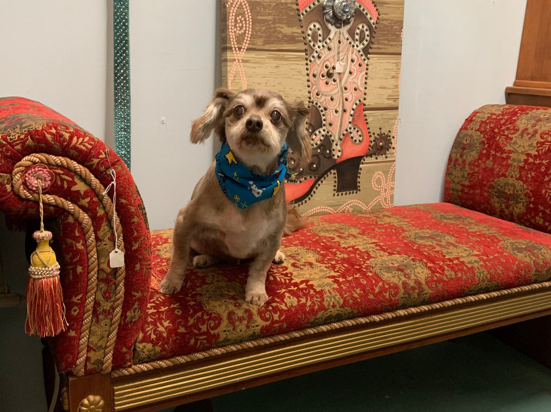 Bright's Antique World-Franklin必去景点