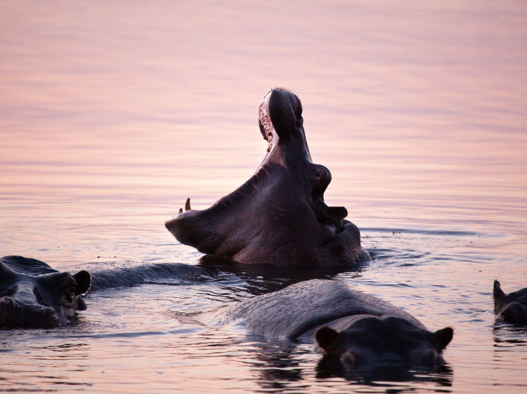 Osprey Tours & Shuttles-霍德斯普鲁特必去景点