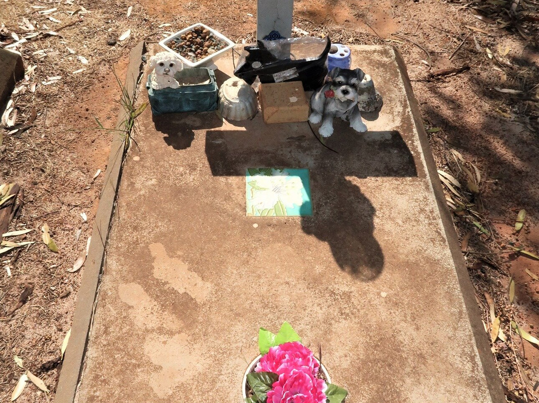 Corrigin Dog Cemetery景点图片