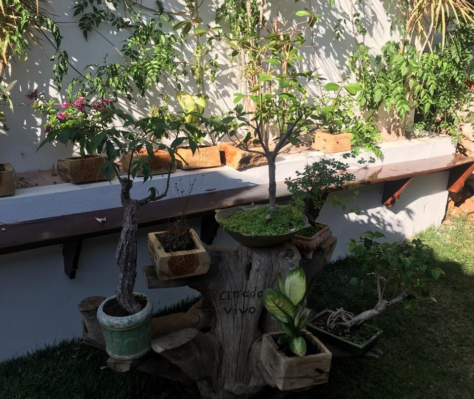 Pousada Casa De Shiva主图