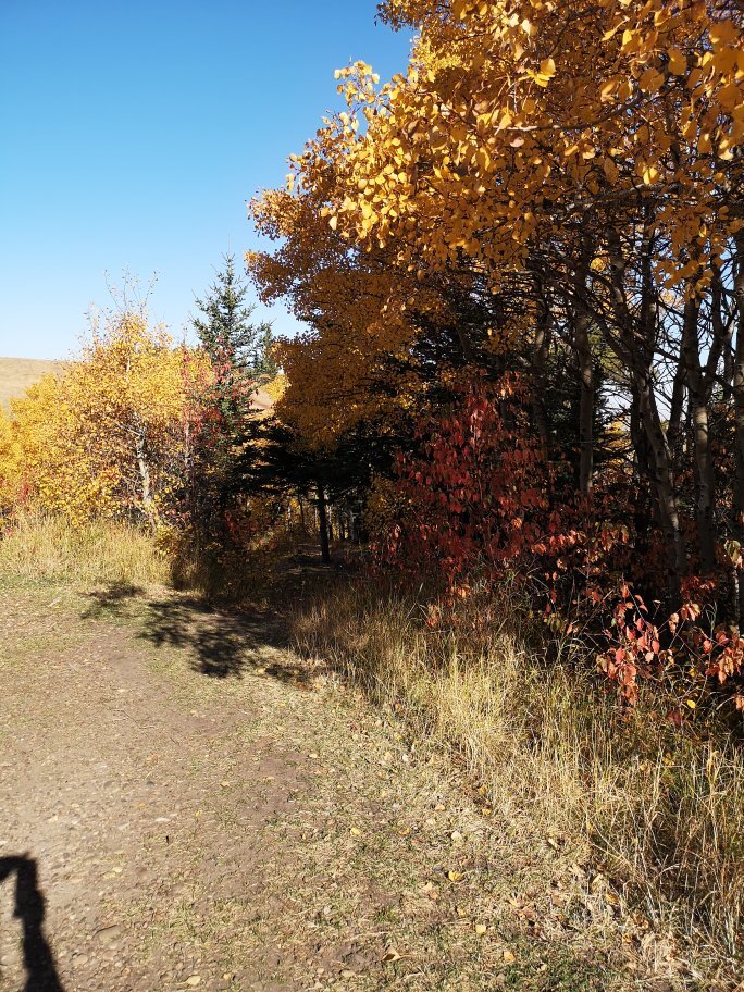 The Resort at Cypress Hills-官方