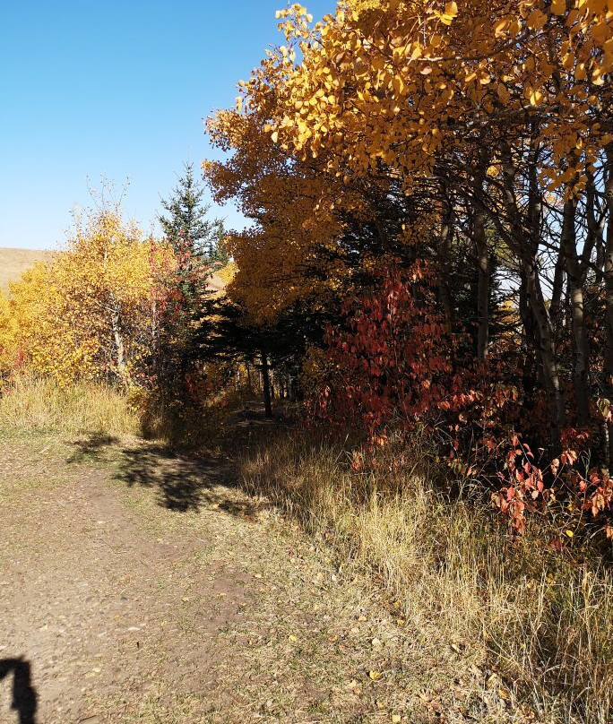 The Resort at Cypress Hills主图