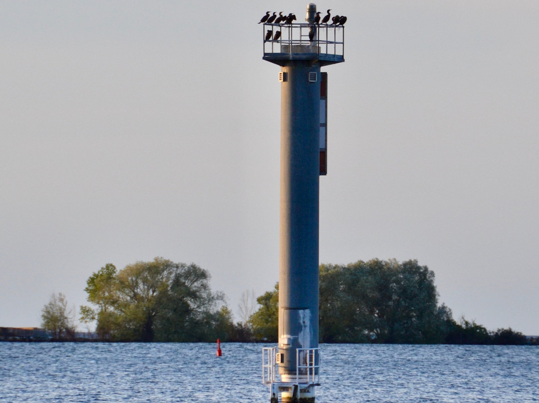 Collingwood Arboretum-科林伍德必去景点