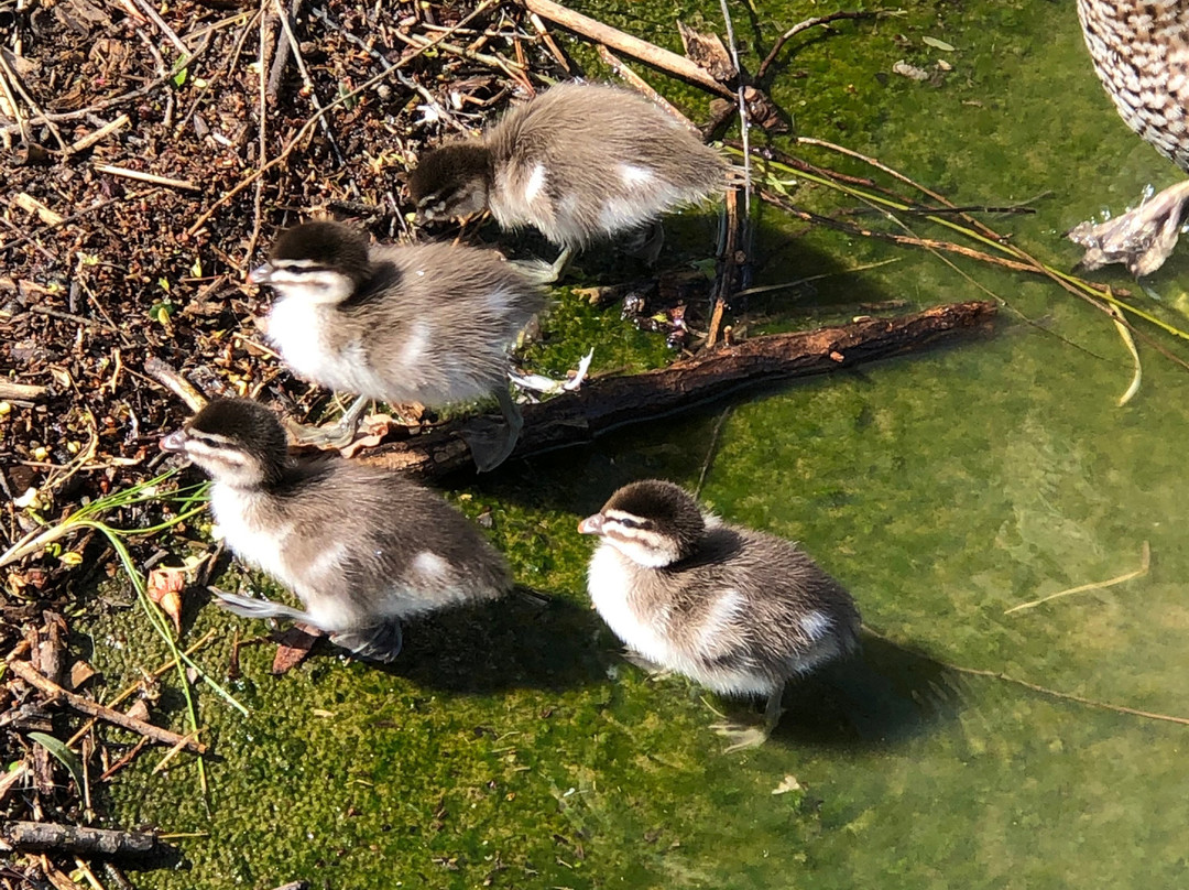 茶馆汽车旅馆主图