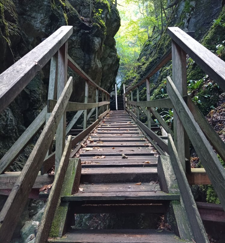Myra Falls-Muggendorf必去景点