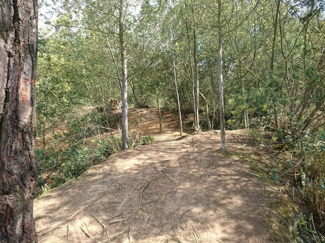 Madrid旅游攻略图片