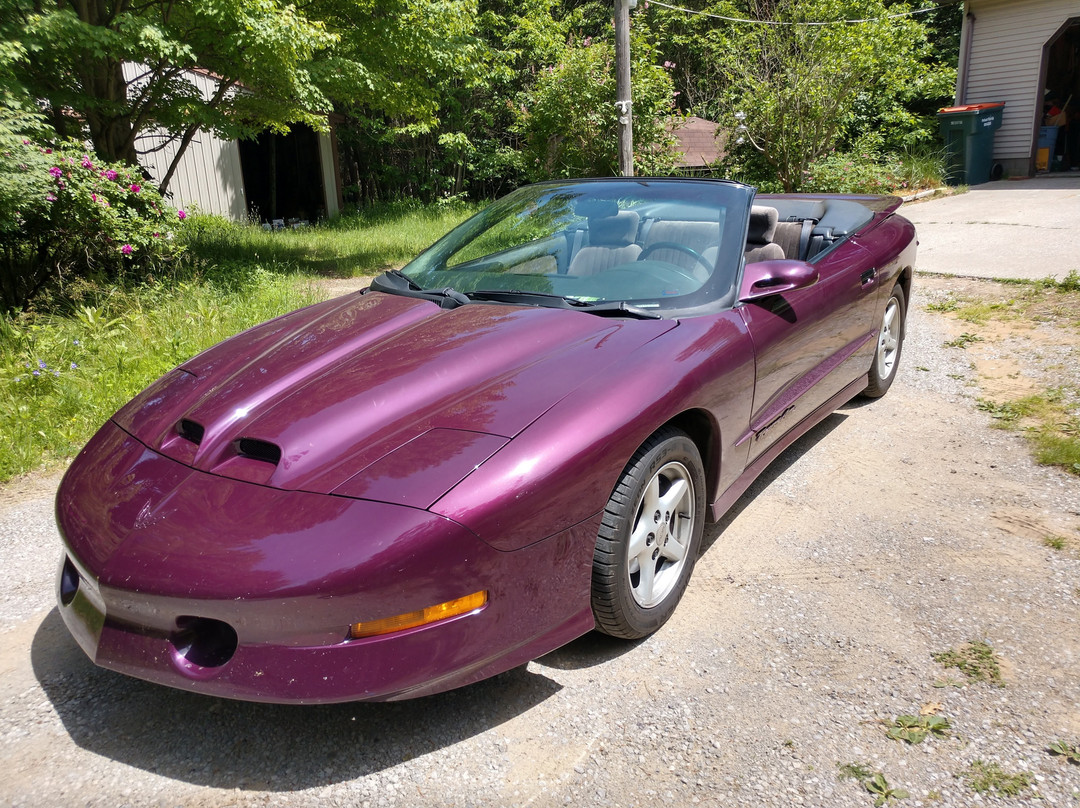 佩托斯基戴斯酒店主图