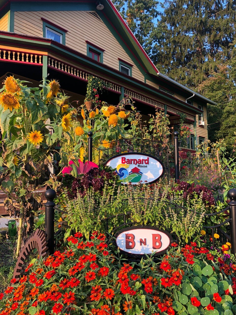 Barnard House Bed and Breakfast-portrait
