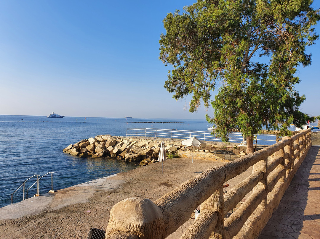 Harmony Bay Hotel主图