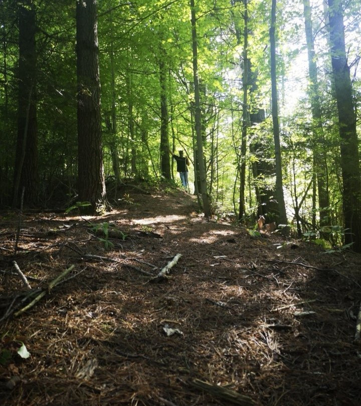 Otter River Farms主图