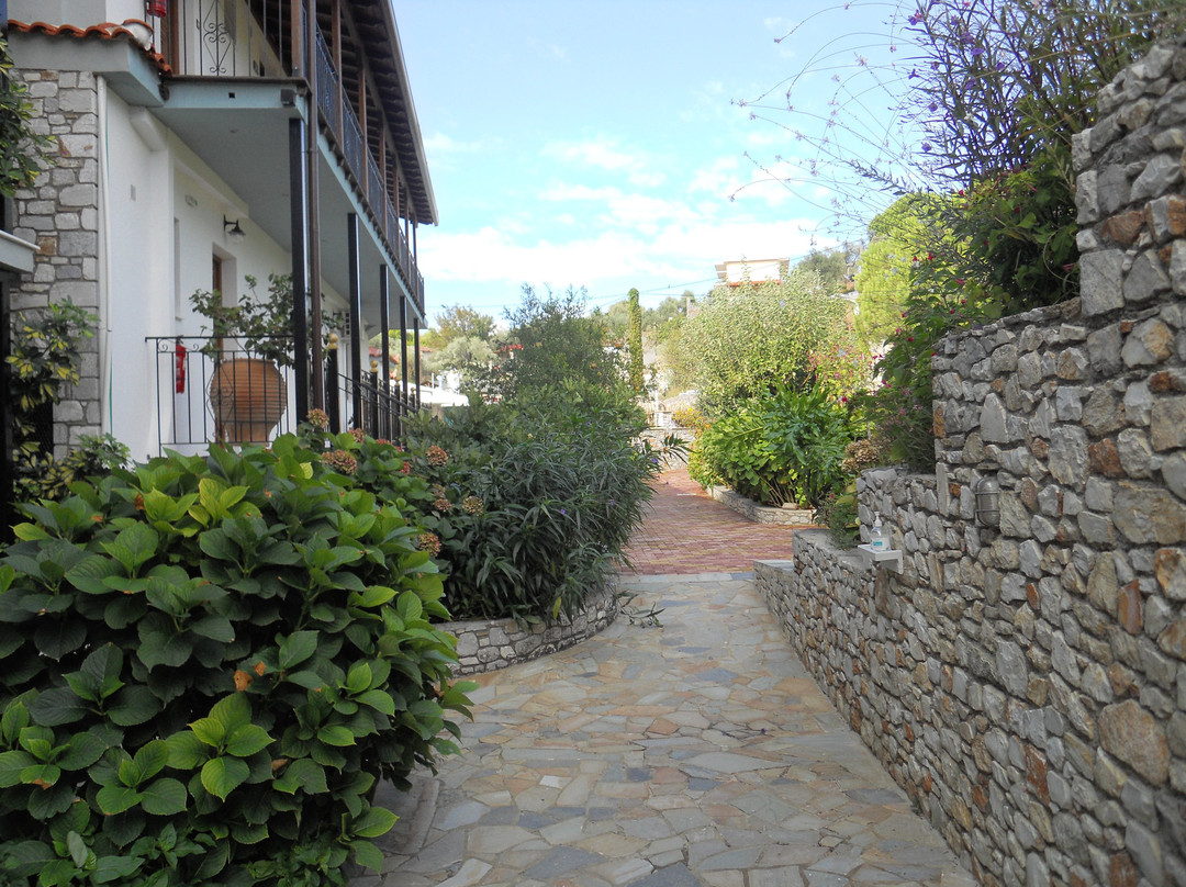 Theodora Studios主图