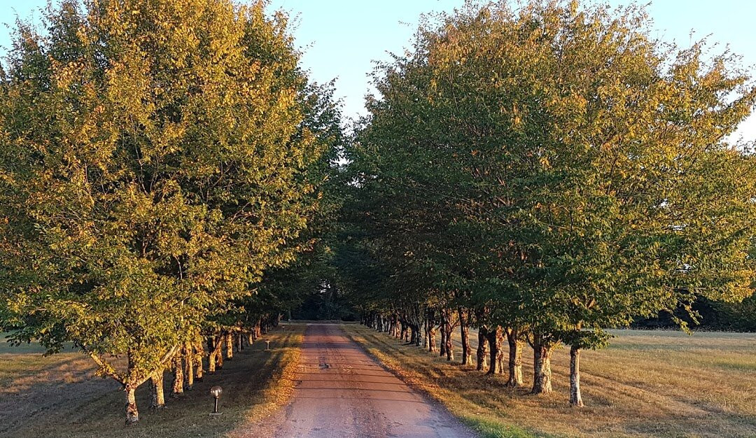 Chateau De Nieuil主图