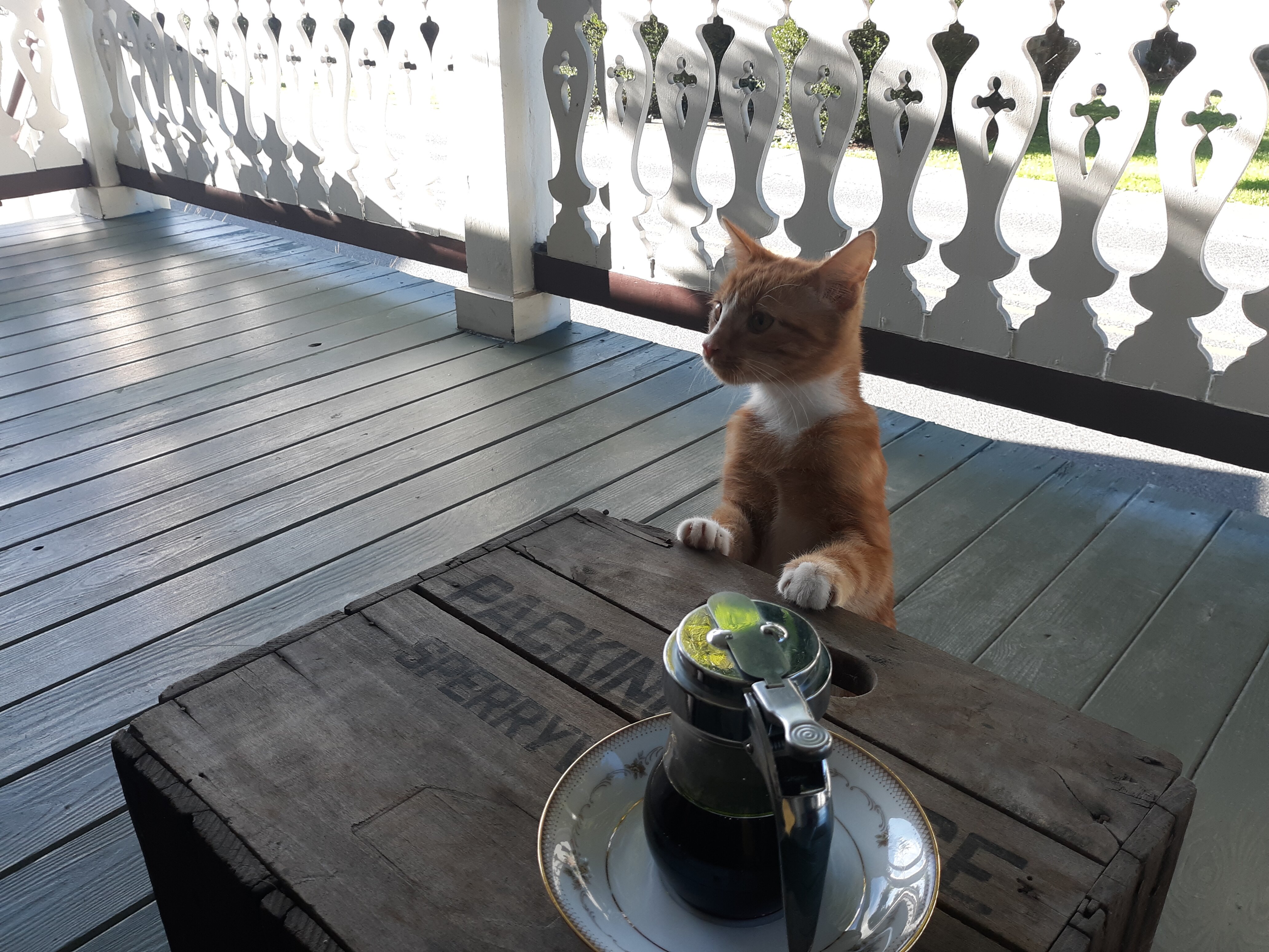 Hopkins Ordinary Bed & Breakfast-餐饮