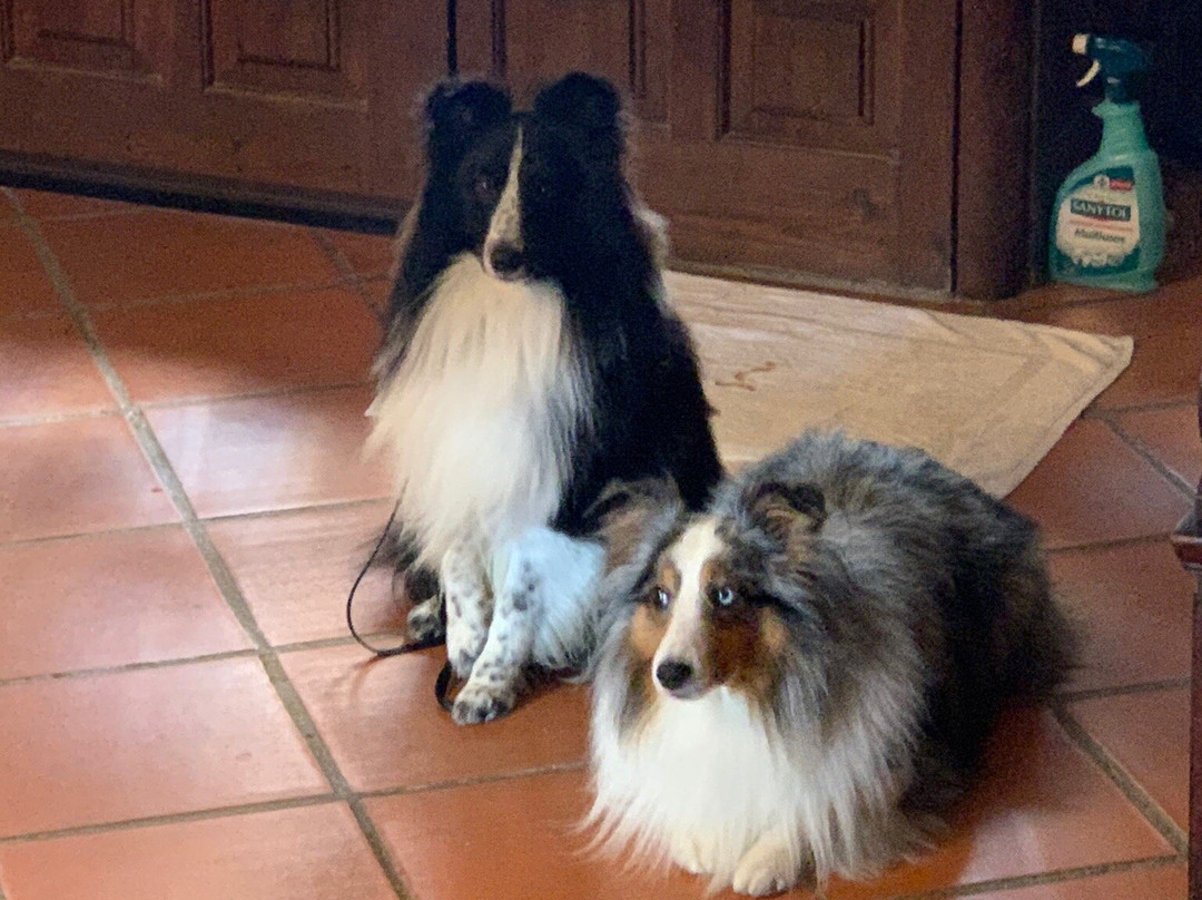 Boutique Hotel Cresol主图