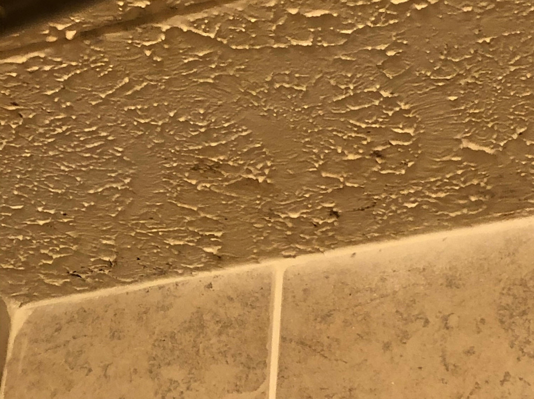 Quality Inn Near Martinsville Speedway主图