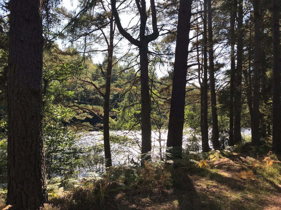 Anagach Woods-Grantown-on-Spey必去景点
