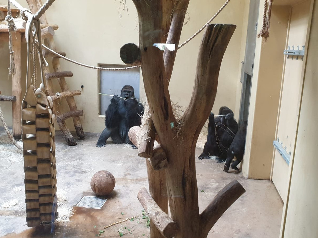 Krefeld Zoo景点图片