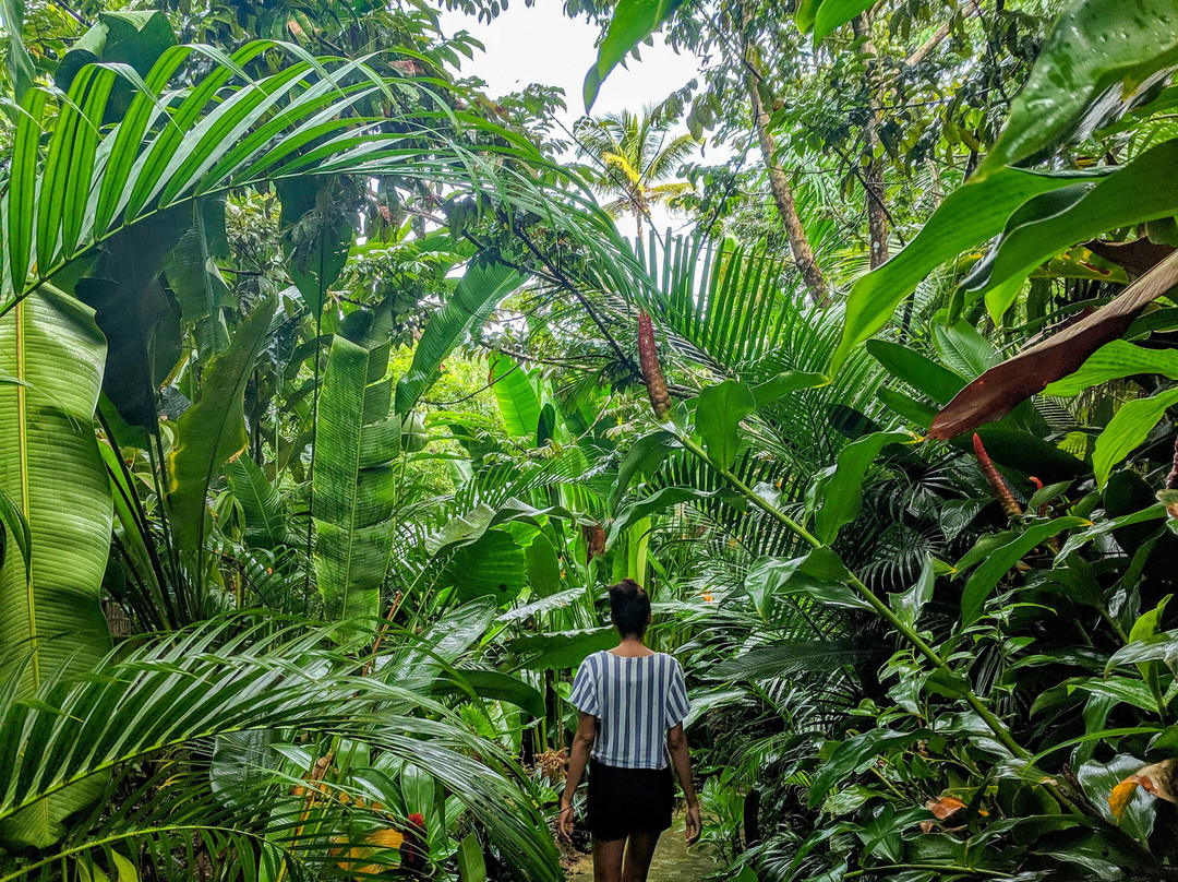 Unique Exotic Hotel主图